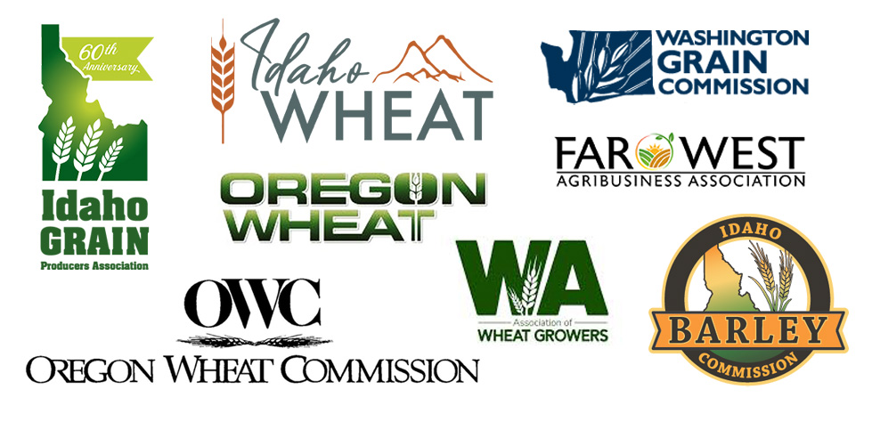 a collage of supporting partner logos